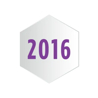Timeline Icon 2016 About Us